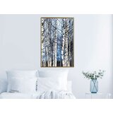  Poster - Winter Birch Trees 30x45 | shoptok.hr