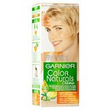 Garnier color Naturals 9,1 farba za kosu Cene
