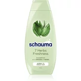 Schwarzkopf Schauma 7 Herbs zeliščni šampon za normalne in mastne lase 400 ml