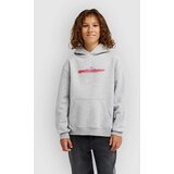 Quiksilver Graphic Oversized Kids Pulover s kapuco light grey heather Cene