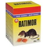  Livistona Rotundifolia L 40 | Eponuda.ba