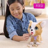  pliš kužek Poop-a-lots Corgi | Shoptok.si
