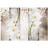  Tapeta - Sophisticated duet 150x105 | shoptok.hr