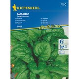KIEPENKERL Špinača Matador Kiepenkerl (Spinacia oleracea) | Shoptok.si