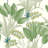 Casadeco Tapeta Palma 9 boja | shoptok.hr