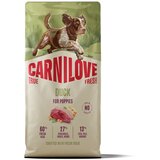 Carnilove Dog True Fresh Puppy, briketi - raca 12 kg | Shoptok.si