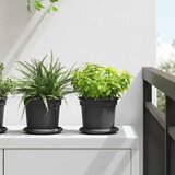  Kružni Pladanj za Cvijeće 24 pcs Crna Ø 14 x 2 cm Plastika | shoptok.hr