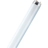 Osram Fluorescenčna sijalka Interna (T8, toplo bela, 58 W, dolžina: 150 cm, energetski razred: G)