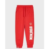 Sinsay Jogger donji dio trenirke Lego Ninjago | shoptok.hr