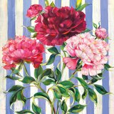 PPD Hikari Napkin - 33 x 33 cm | Shoptok.si