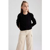 Defacto Regular Fit Crew Neck Cardigan | Shoptok.si