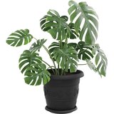  Krožni cvetlični pladenj 24 pcs Črna Ø 21,5 x 2,5 cm Plastika, (5000207752) | Shoptok.si