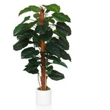 MID.YOU Umetna Rastlina Epipremnum Cene