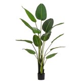 BIZZOTTO Umetna rastlina (višina 185 cm) Sterilizia – Cene