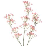 PT LIVING Umetna rastlina (višina 59 cm) Babybreath – | Shoptok.si