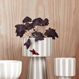 OYOY Living Design Okrasni cvetlični lonec iz kamenine ø 15 cm Toppu – | Shoptok.si
