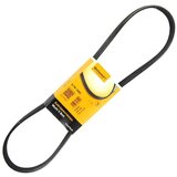  Kaiš kanalni 5PKx1005 CONTITECH | Eponuda.com