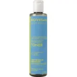Moisture Boost Toner