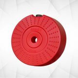 IRON SPORT disk - teg od industrijske plastike, 10 kg, fi 33mm Cene