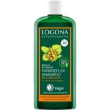 Logona šampon za obojenu kosu sa lješnjakom Cijene