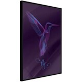  Poster - Fluorescent Hummingbird 30x45 | shoptok.hr