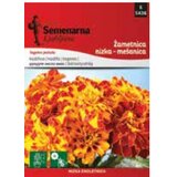  Kadifa niska mix (070588) | ePonuda.com