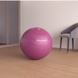 Lopta za pilates veličine 2 (65cm) roze | ePonuda.com