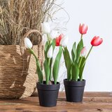 Ixia Umetna rastlina (višina 31 cm) Tulips – | Shoptok.si