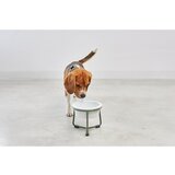 MiaCara Porculanska posuda s postoljem za pse ø 20 cm Pranzo Grolive M – | shoptok.hr