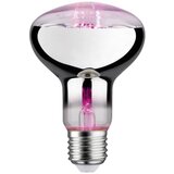PAULMANN LED svjetlo za rast biljaka 230 V E27 6.5 W jantar 1 St. | Eponuda.ba