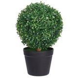  Biljka u saksiji šimšir 35cm | ePonuda.com