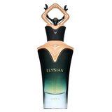 French Avenue Elysian Onyx parfumirana voda za moške 80 ml | Shoptok.si