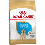 Royal Canin Breed Labrador Retriever Puppy - 2 x 12 kg