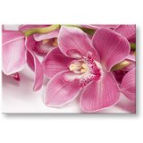  Slike na platnu cveće (moderne slike na platnu) | ePonuda.com