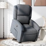 vidaXL naslanjač s funkcijo vstajanja temno siv žamet | Shoptok.si