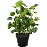 Modern Living Umetna Rastlina Pileabusch I -Paz- | Shoptok.si