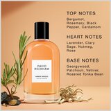 David Beckham Amber Breeze parfemska voda za muškarce 100 ml | shoptok.hr