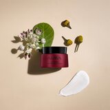 Ahava apple of sodom advanced deep wrinkle cream lifting krema protiv bora 50 ml za žene | shoptok.hr