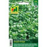  Poletni portulak | Shoptok.si
