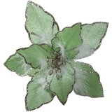 Festa blossom, novogodišnji cvet, mint, 23cm Cene