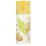 Elizabeth Arden Green Tea Citron Freesia Eau De Toilette 100 ml (unisex) | shoptok.hr
