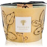 Baobab Collection Folia Garrigue dišeča sveča 10 cm Cene