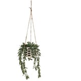 Casa Selección Umjetna biljka (visina 28 cm) – Cijene