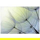  Samoljepljiva foto tapeta - Natural Lightness 196x140 | shoptok.hr