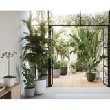 Artevasi Cvetlični lonec Havana Tropical (Zunanje dimenzije (Ø x V): 30 x 25 cm, Plastika, Granit) | Shoptok.si