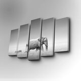 Wallity 5PUC-037 multicolor decorative canvas painting (5 pieces) | ePonuda.com