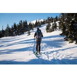 Husky Muške pantalone | Eponuda.ba