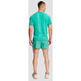 GymBeam Muške kratke hlače Pulse X Running Green | Eponuda.ba