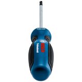 Bosch Pro odvrtač sa Torx glavom TX 1600A01V0D, 25x100 mm Cene