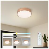 Brilagi LED prigušiva plafonska svetiljka POOL LED/24W/230V prečnik 20 cm bronzana + daljinski upravljač Cene